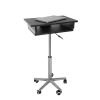 Techni Mobili Folding Table Laptop Cart; Graphite