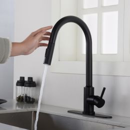 Stainless steel kitchen faucet (Default: Default)